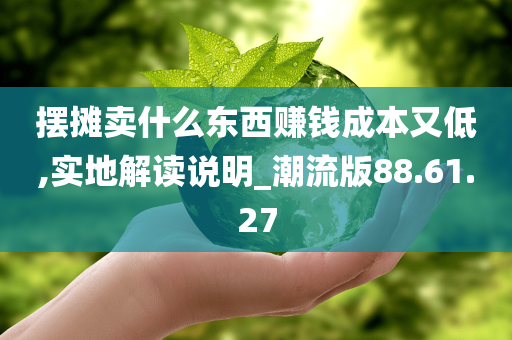 摆摊卖什么东西赚钱成本又低,实地解读说明_潮流版88.61.27