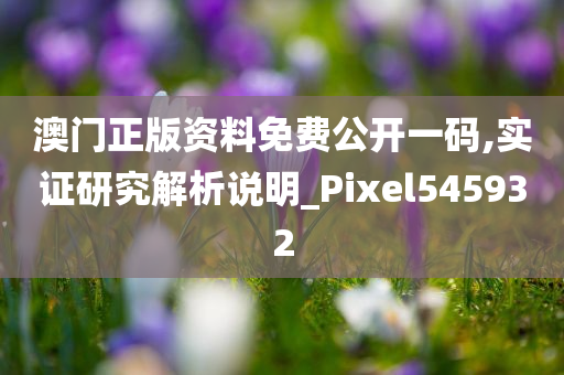 澳门正版资料免费公开一码,实证研究解析说明_Pixel545932