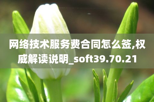 网络技术服务费合同怎么签,权威解读说明_soft39.70.21