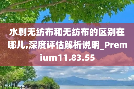 水刺无纺布和无纺布的区别在哪儿,深度评估解析说明_Premium11.83.55