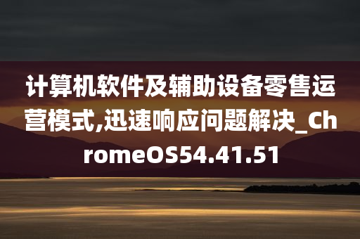 计算机软件及辅助设备零售运营模式,迅速响应问题解决_ChromeOS54.41.51