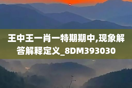 王中王一肖一特期期中,现象解答解释定义_8DM393030