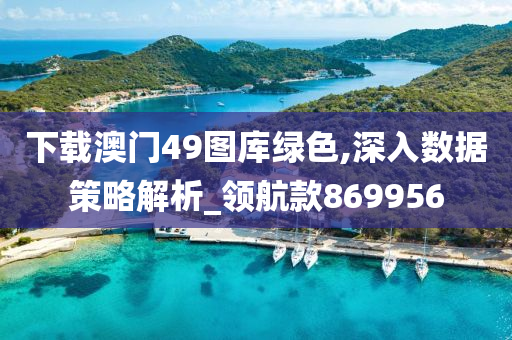 下载澳门49图库绿色,深入数据策略解析_领航款869956