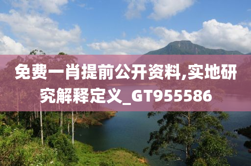 免费一肖提前公开资料,实地研究解释定义_GT955586