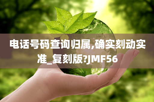 电话号码查询归属,确实刻动实准_复刻版?JMF56