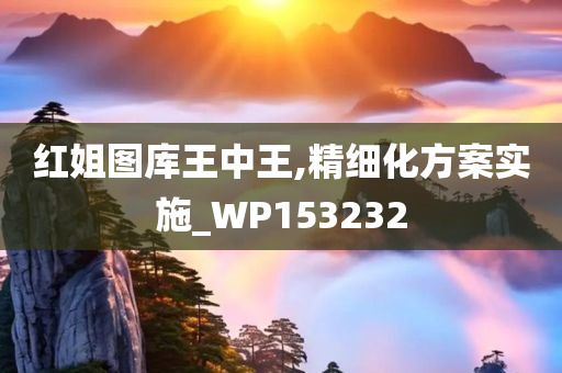 红姐图库王中王,精细化方案实施_WP153232