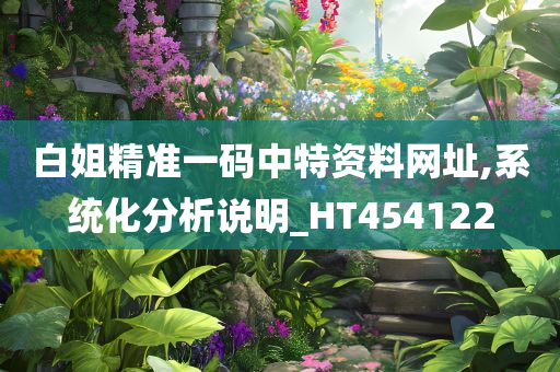 白姐精准一码中特资料网址,系统化分析说明_HT454122