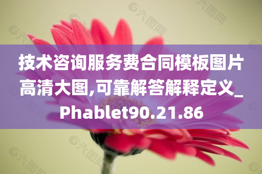 技术咨询服务费合同模板图片高清大图,可靠解答解释定义_Phablet90.21.86