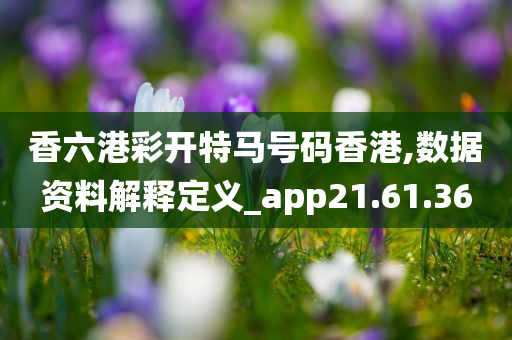 香六港彩开特马号码香港,数据资料解释定义_app21.61.36