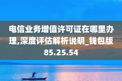 电信业务增值许可证在哪里办理,深度评估解析说明_钱包版85.25.54