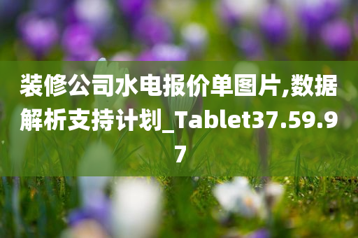 装修公司水电报价单图片,数据解析支持计划_Tablet37.59.97