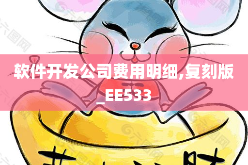 软件开发公司费用明细,复刻版_EE533