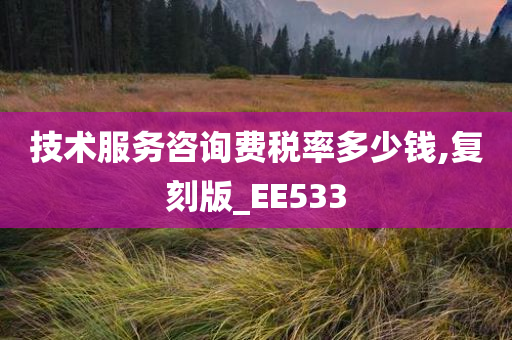 技术服务咨询费税率多少钱,复刻版_EE533