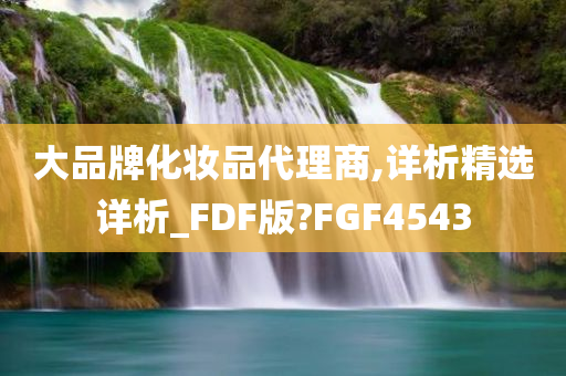 大品牌化妆品代理商,详析精选详析_FDF版?FGF4543