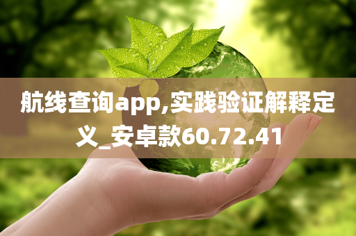 航线查询app,实践验证解释定义_安卓款60.72.41