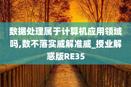 数据处理属于计算机应用领域吗,数不落实威解准威_授业解惑版RE35