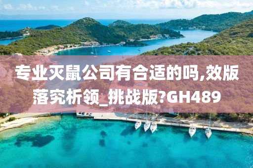 专业灭鼠公司有合适的吗,效版落究析领_挑战版?GH489