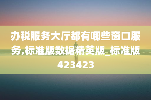 办税服务大厅都有哪些窗口服务,标准版数据精英版_标准版423423