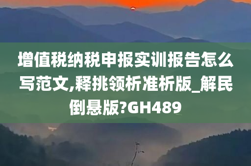 增值税纳税申报实训报告怎么写范文,释挑领析准析版_解民倒悬版?GH489