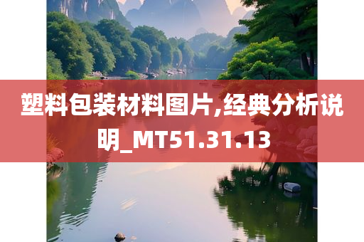 塑料包装材料图片,经典分析说明_MT51.31.13