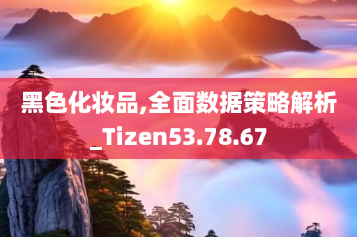 黑色化妆品,全面数据策略解析_Tizen53.78.67