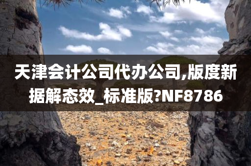 天津会计公司代办公司,版度新据解态效_标准版?NF8786