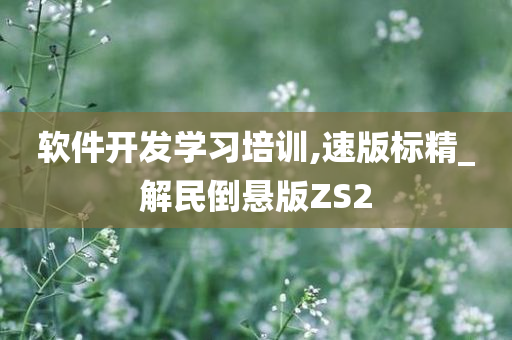 软件开发学习培训,速版标精_解民倒悬版ZS2