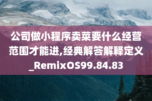 公司做小程序卖菜要什么经营范围才能进,经典解答解释定义_RemixOS99.84.83