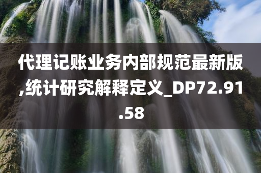 代理记账业务内部规范最新版,统计研究解释定义_DP72.91.58