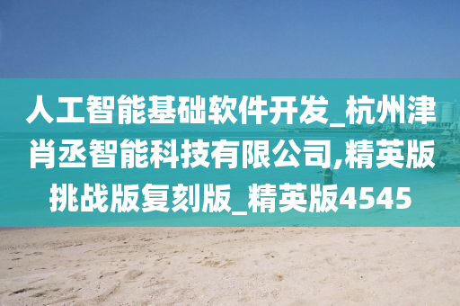 人工智能基础软件开发_杭州津肖丞智能科技有限公司,精英版挑战版复刻版_精英版4545