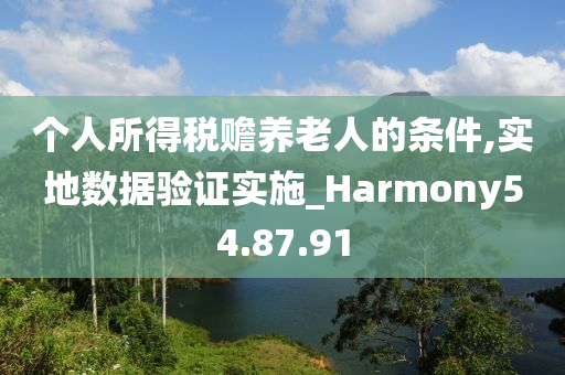 个人所得税赡养老人的条件,实地数据验证实施_Harmony54.87.91