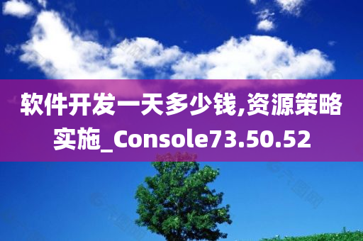 软件开发一天多少钱,资源策略实施_Console73.50.52