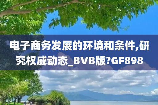 电子商务发展的环境和条件,研究权威动态_BVB版?GF898