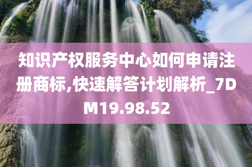 知识产权服务中心如何申请注册商标,快速解答计划解析_7DM19.98.52