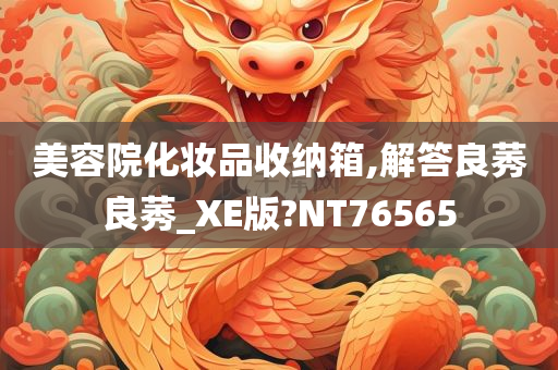 美容院化妆品收纳箱,解答良莠良莠_XE版?NT76565