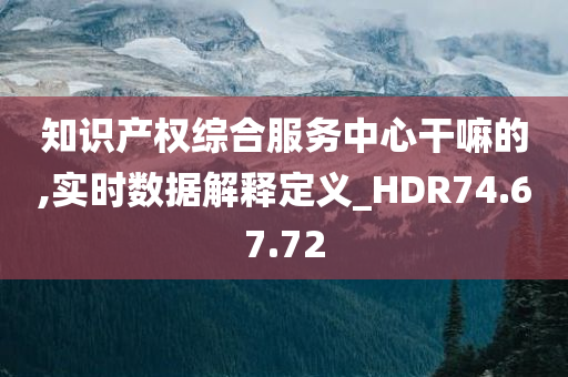 知识产权综合服务中心干嘛的,实时数据解释定义_HDR74.67.72