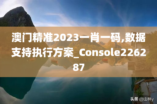 澳门精准2023一肖一码,数据支持执行方案_Console226287