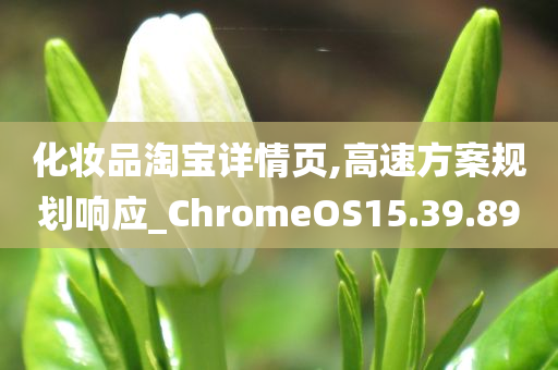 化妆品淘宝详情页,高速方案规划响应_ChromeOS15.39.89