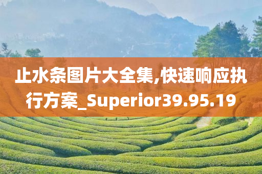 止水条图片大全集,快速响应执行方案_Superior39.95.19