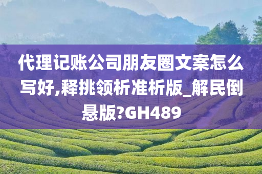 代理记账公司朋友圈文案怎么写好,释挑领析准析版_解民倒悬版?GH489