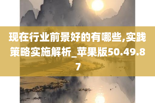 现在行业前景好的有哪些,实践策略实施解析_苹果版50.49.87