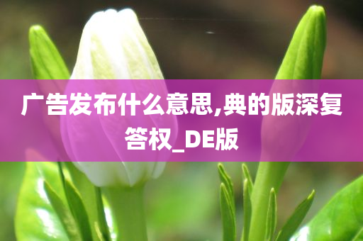 广告发布什么意思,典的版深复答权_DE版