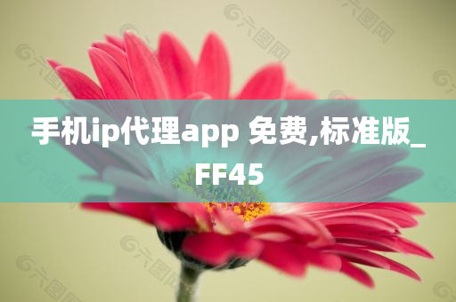 手机ip代理app 免费,标准版_FF45