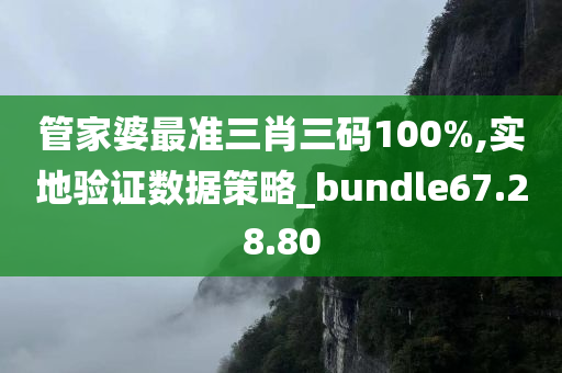 管家婆最准三肖三码100%,实地验证数据策略_bundle67.28.80