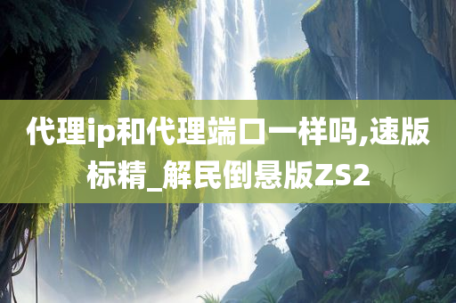 代理ip和代理端口一样吗,速版标精_解民倒悬版ZS2