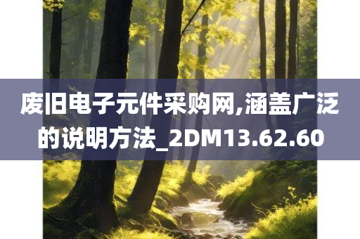 废旧电子元件采购网,涵盖广泛的说明方法_2DM13.62.60