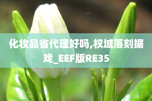 化妆品省代理好吗,权域落刻据戏_EEF版RE35