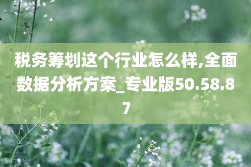 税务筹划这个行业怎么样,全面数据分析方案_专业版50.58.87