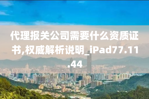 代理报关公司需要什么资质证书,权威解析说明_iPad77.11.44