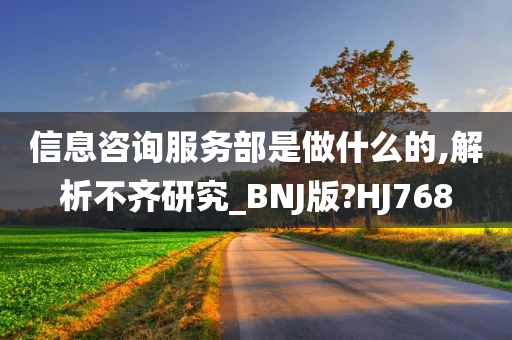 信息咨询服务部是做什么的,解析不齐研究_BNJ版?HJ768